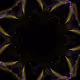 44012762499723765261399849616984702261263631564051892356705161098572087689226