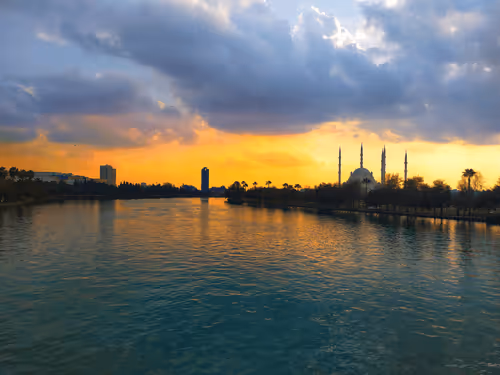 Item #31342426711023829564794715660700811232221764631833719654856990993299204472833 Media