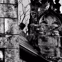 73754067670666287486777451025371723803701293216623981117739972851987772342273