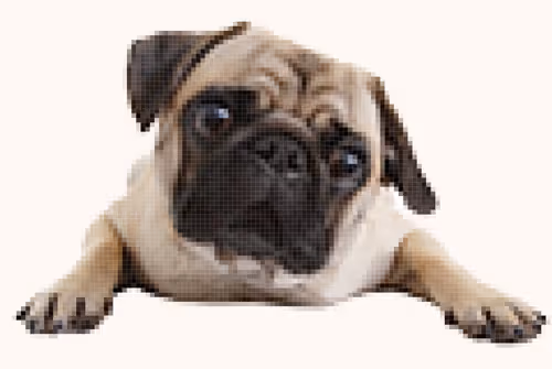 Item #47256341383618878615796711577528104417758434794724361060343154302386150834177 Media