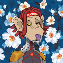 MONKEYHYPE #2596