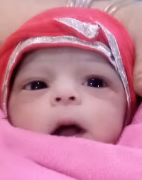 Untitled Collection #46016240