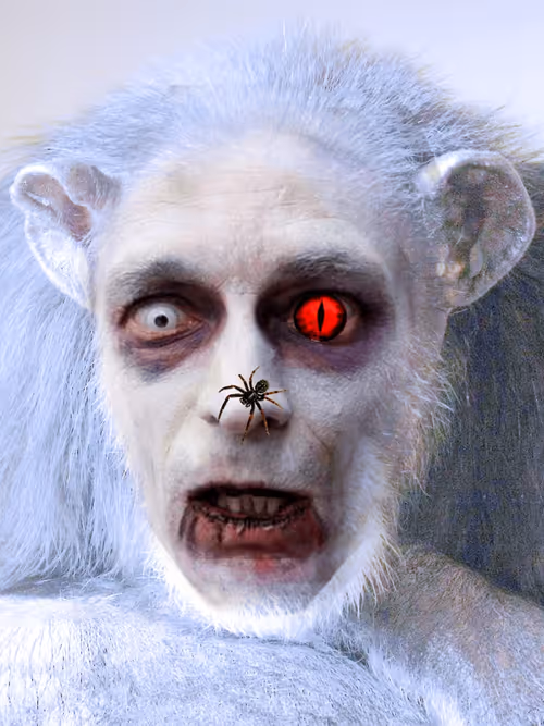 Item #58260198782654195468413891163652142906828885851206301776881640291269357862913 Media