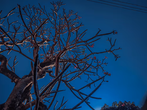 Item #71096490581542028693296375726568766640546572075829143306372201880624266477569 Media