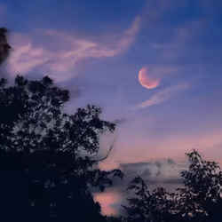 108175385754913638577213036180834446424025282254093362741569171462026996744193