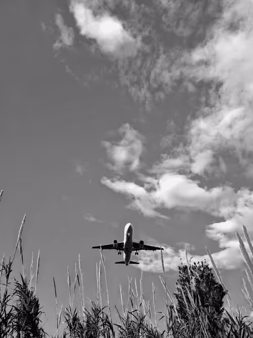 Item #36816001644917254617906175698674191035781868216999975889902342332166124339201 Media