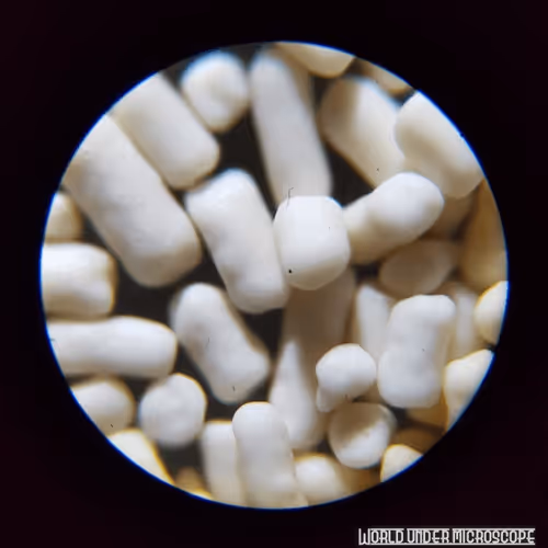 Item #50009736146905251567227076692856927428894740490289753136015986063450870644737 Media