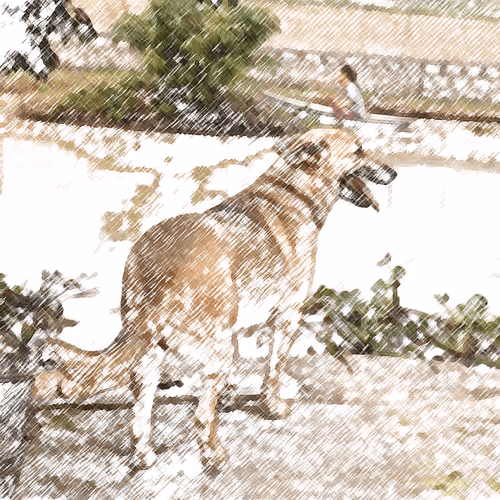 Item #60872619837691221380598772379199687770025926314057253898285761391398781714442 Media