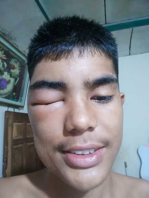 Item #7692459204934800822298320087083479318869553140152541581098556426326212870145 Media