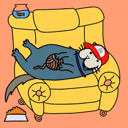 CoolKat #009