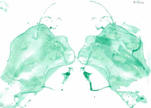 Item #38023679387255167984274555839026967605262769849489345106080774814368503169025 Media