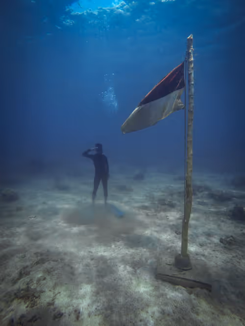 Item #77639041975894886609071233097545712090510044969555444171952761937692446425089 Media