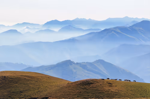 Item #61601413983432262200822046408210296549184035160504594584973518303985710137444 Media