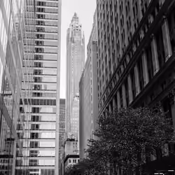 City Life
