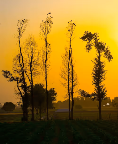 Item #9104047852343460824823657095955061139286762947505329334286274278579566018561 Media