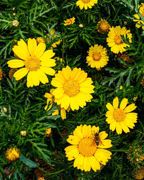 Item #99240698403131764357396770641695198226804647575338296481324929436972899893249 Media