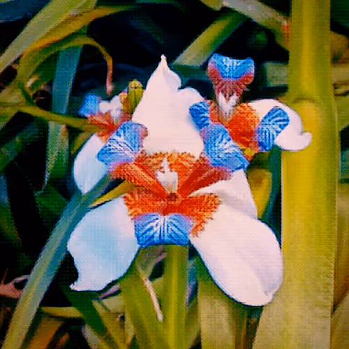 Item #43190579806433981010774040212734353374582811192863113586455236161687584243713 Media