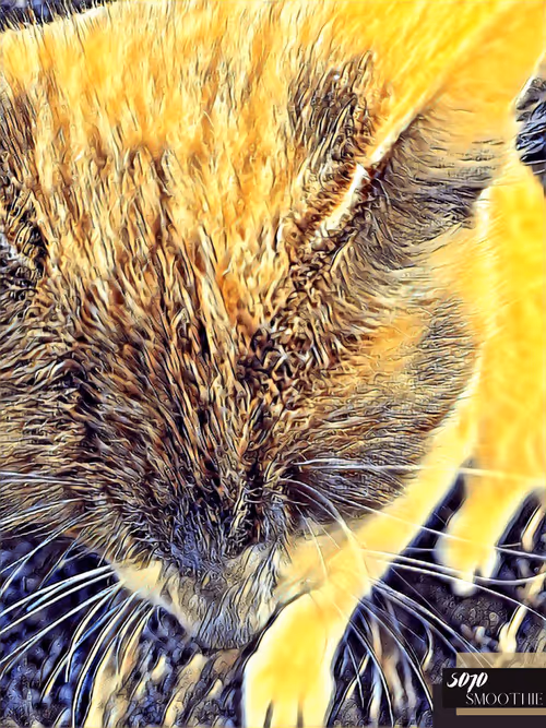 Item #70173555060280459679020221103172679865592931086946583501557978894195664879617 Media