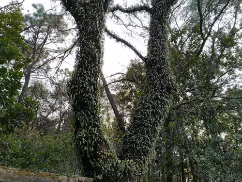 Item #42236843215323934019950338496373014634307295754421868680112139207283836977153 Media