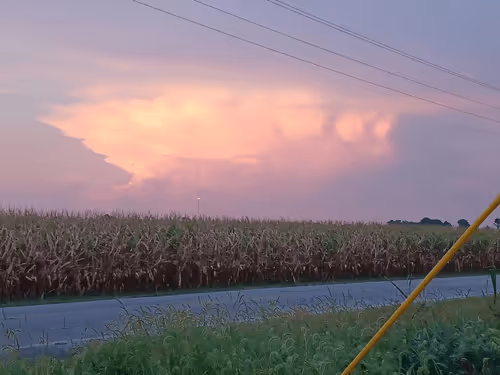 Item #62047745387527042247084201228282666803326120375556222532536150506209540046854 Media