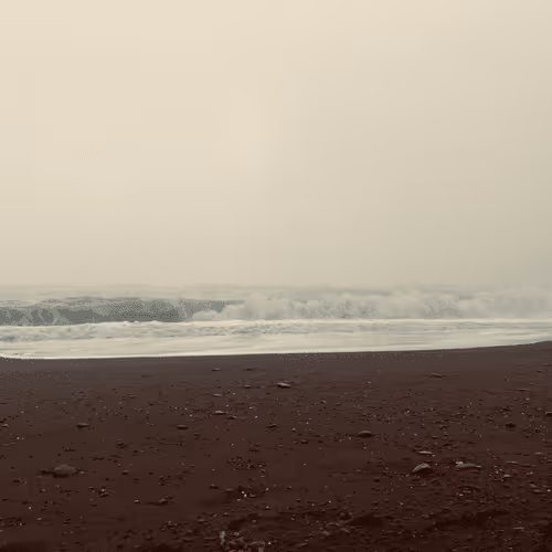 Item #2005862319158051831365229387864138466486092287762213337058068726326096822273 Media