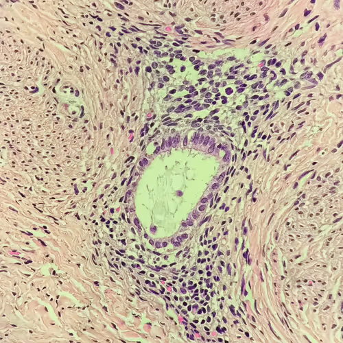 Item #69482328620963259394518629310031225359997111203048028238990119564166473711617 Media