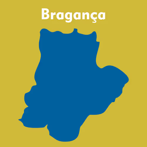 Item #53594356007989535792850162458107501771688790401863407050360661567693150748677 Media