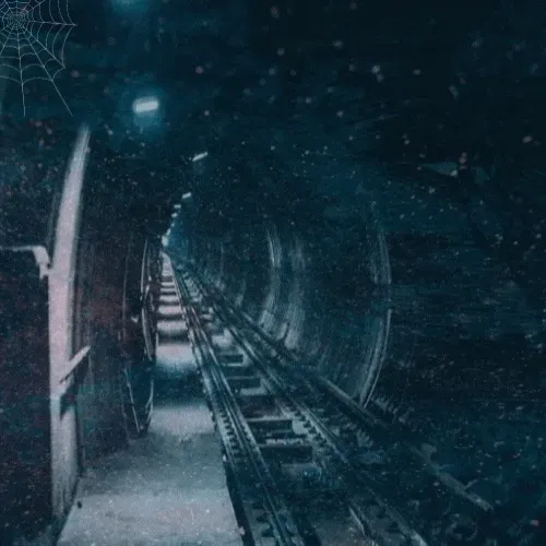 Item #38389305083498971239694236246529461566372963586930572058997571706694263635969 Media