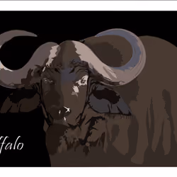 Buffalo