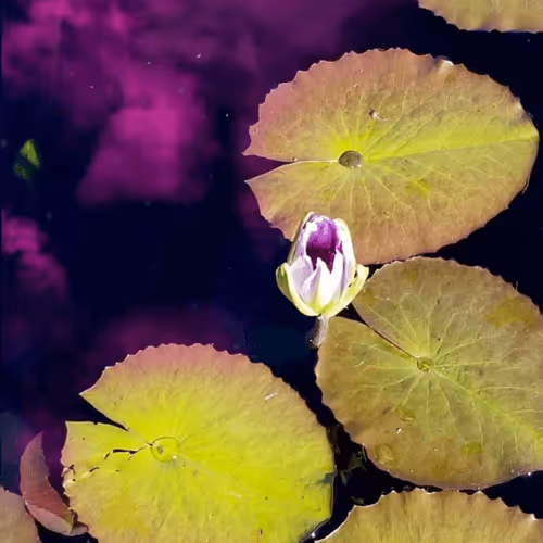 108175385754913638577213036180834446424025282254093362741569171455429926977537