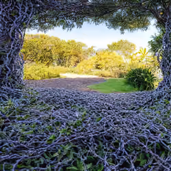Exploring Israel with abstract realism - Reimagining of the Foot Bridge