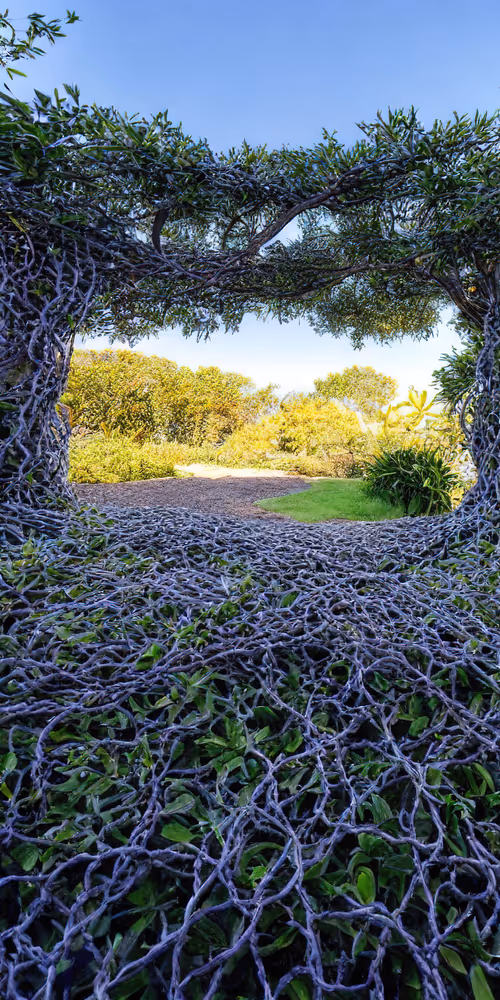 Item #53204195999668057401361450590388499232587888718751066529720239536891293073409 Media