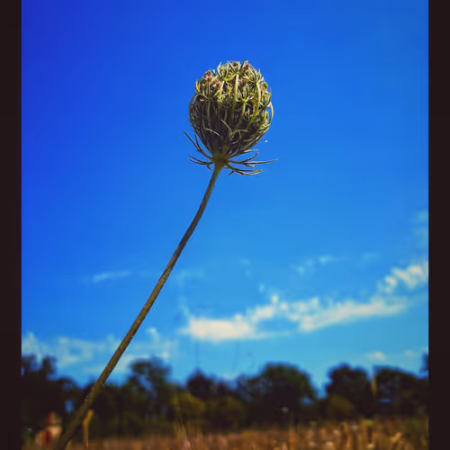 3787080761074609709675817509753112159059746763483256848434354001999105622017