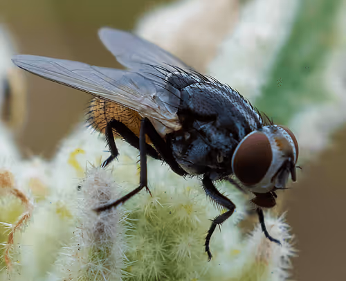 Item #81039049813216597257953829520223769972049979763513540310904561801195918721025 Media