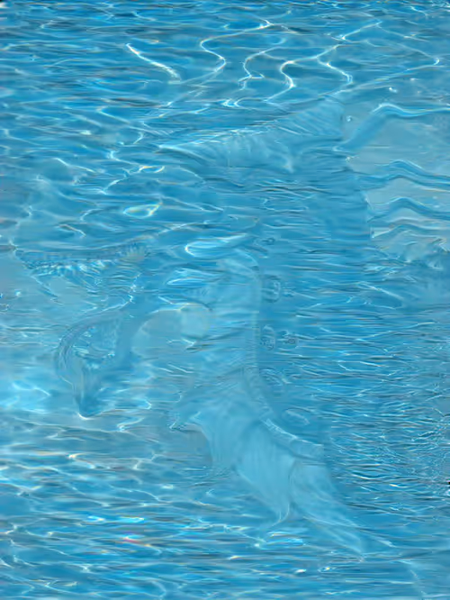 Item #91495161452612716824513038234457997971565506450966334666656391532422304366593 Media