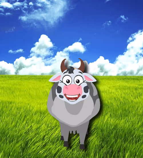 Item #14835671457388250311977351547105920395248083713088532923992519395004102213633 Media