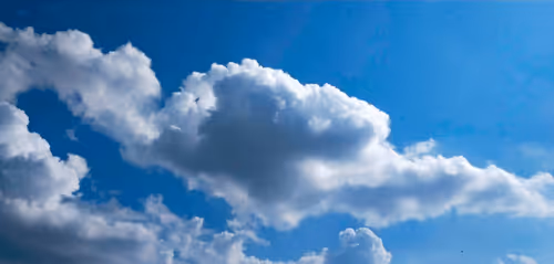 Item #113535271563569604126631180318808379235273627644286724939205622469738455105537 Media