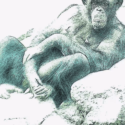 Item #105394010161551018097936078642910549059002323015222353178191529005750457204737 Media