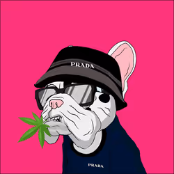 106428270753434531491887901925397801775135261497342296435004701371800504762369