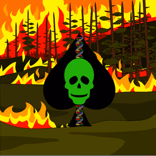 Item #108351031630289637415897530635651202870859629052616286877022309904863469764611 Media