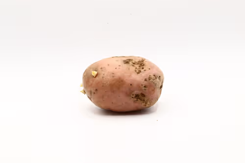 Item #97726151104522163495278545296769301934737660224123995419035737109195835572225 Media