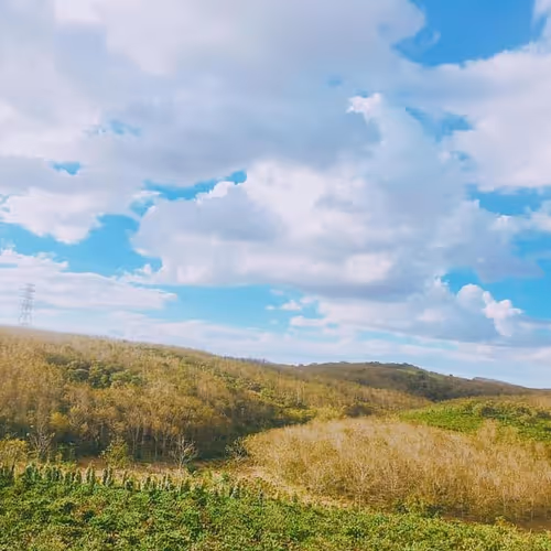 Untitled Collection #3521394525