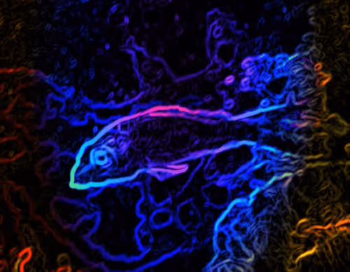 Item #61399169611819808431196966000866205980979070133838770052243821733801621454849 Media