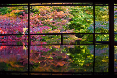 Item #109856220298400902651076580767902450481001671145135042895744925556300551553025 Media