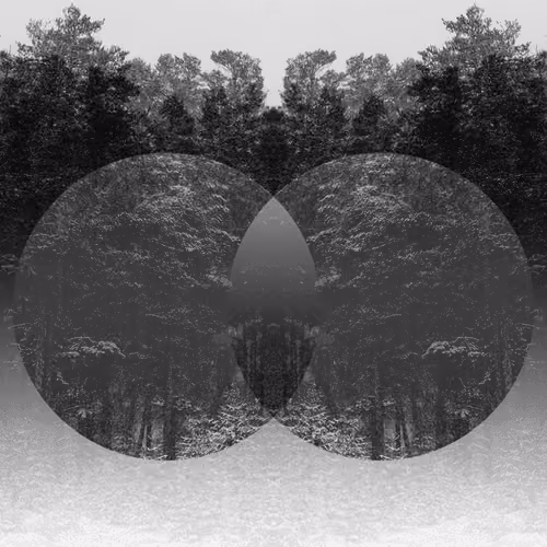 Double Circle  (Exclusive Edition)