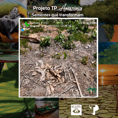 Item #8500196597889277390194123329501889087166328879864934763448348995240127889409 Media