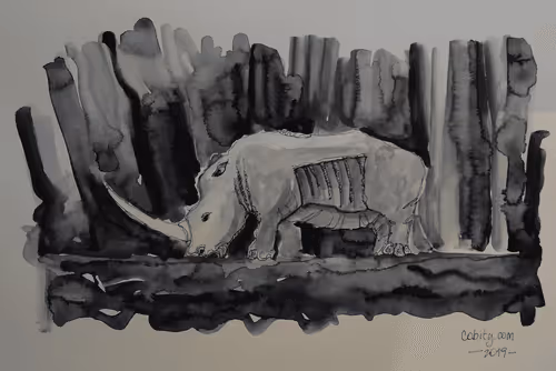 Road rhino v1