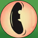 32401066283070956453149025669802107391378216185476049543798942944150807379969