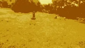 Item #113466216098082461716680330060520924376328952215349506397024801475986485936133 Media