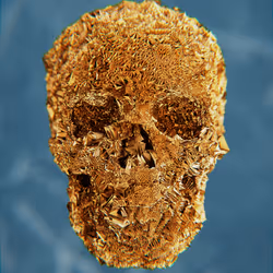 47176454807076825679431215681833454926344141321117842083750283398428844097537